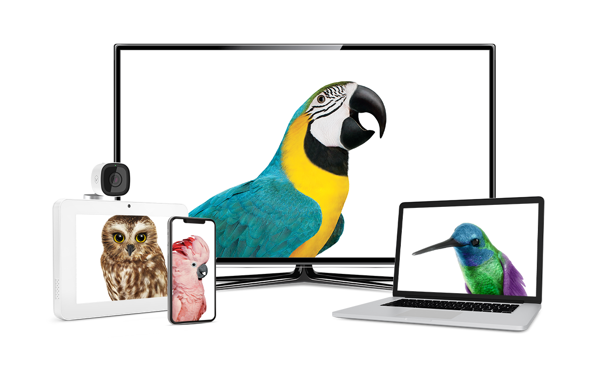 Master Com TELUS & Koodo